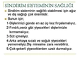 Sindirim Sisteminin Sağlığı Sindirim Sisteminin Sağlığı