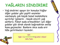 Yağların Sindirimi