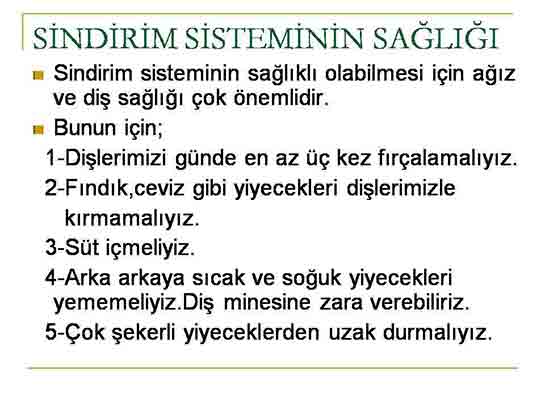 Sindirim Sisteminin Sağlığı